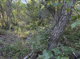 94 NE Whittemore Dr E, Springville, UT 84663