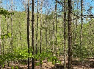 L409 Summit Dr #409, Ellijay, GA 30536