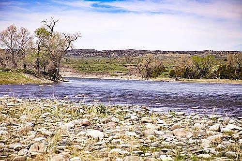 Yellowstone Rvr Common Grd