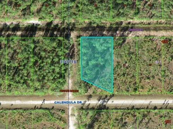 624 Calendula Dr Lot 12, Indian Lake Estates, FL 33855