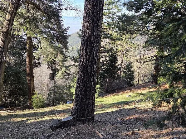 21543 Peak Cir #11, Cedarpines Park, CA 92322