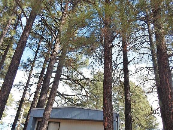 3rd image of 1143 N 43rd Dr
