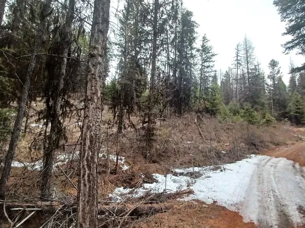 0 X Mule Deer Road, Republic, WA 99166