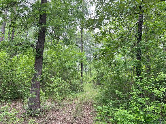 3rd image of LOT 20 Walker Ln