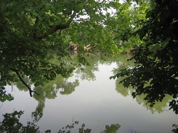 4th image of 0 Elk River Dr #11