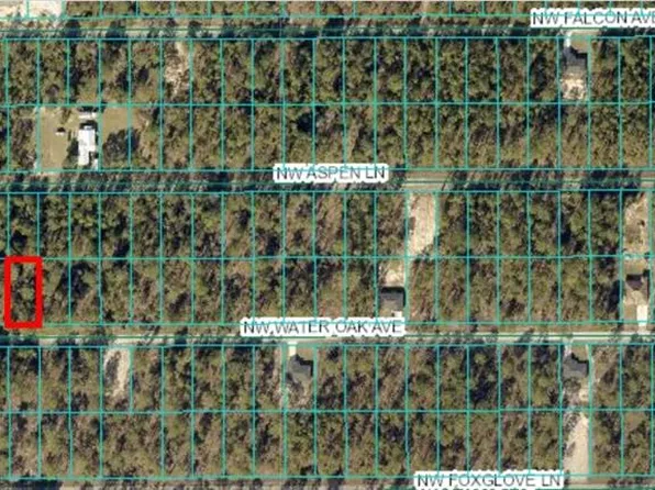 NW Water Oak Ave Lot 60, Dunnellon, FL 34431