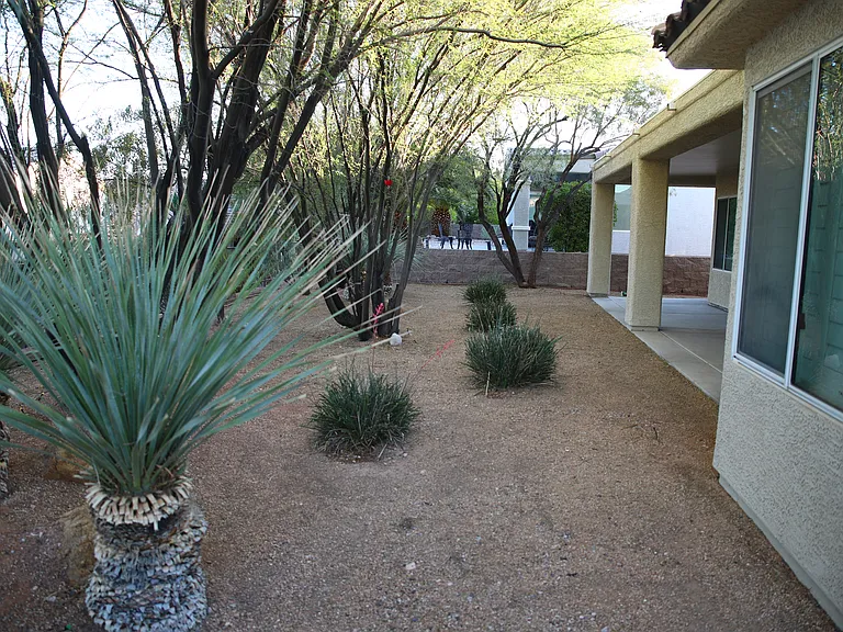 Backyard, patio area