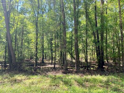 0 Old Fm 705, Broaddus, TX, 75929