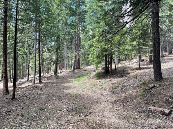 37 Iroquois Dr, Camp Connell, CA 95223