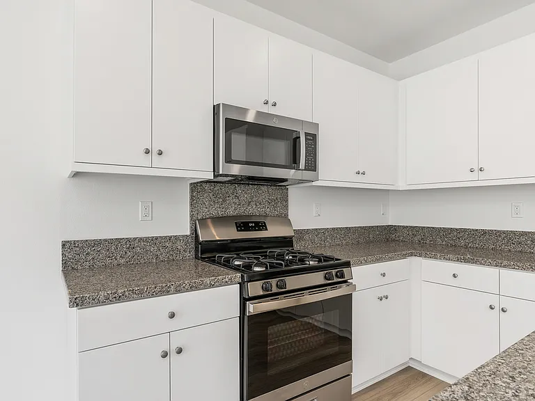 30163 Spineflower St — Photo 25