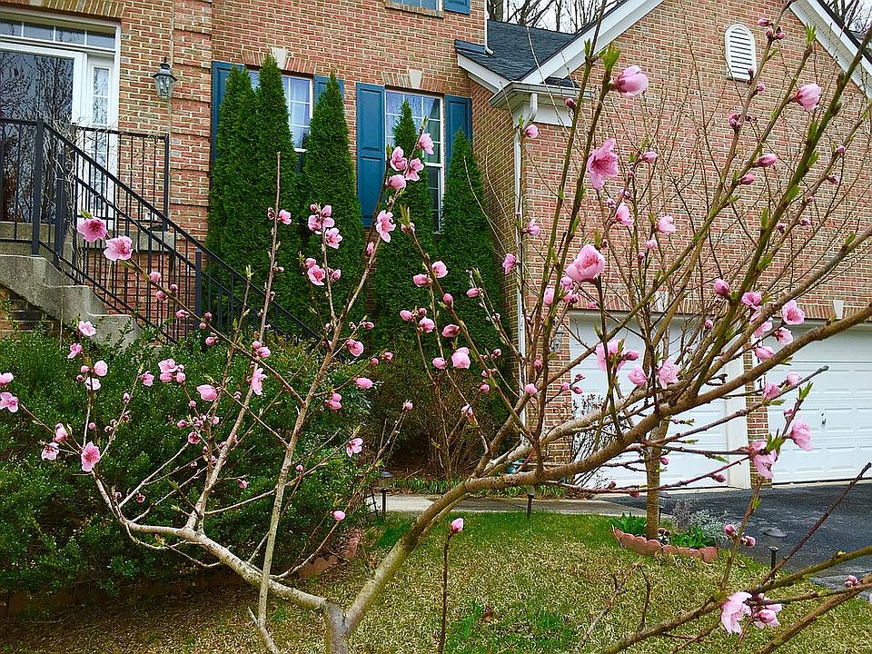 2nd image of 21117 Hickory Forest Way