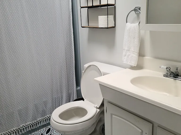 Skylight full bath