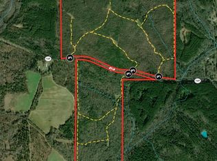 337/- Ac Ga Hwy #137, Buena Vista, GA