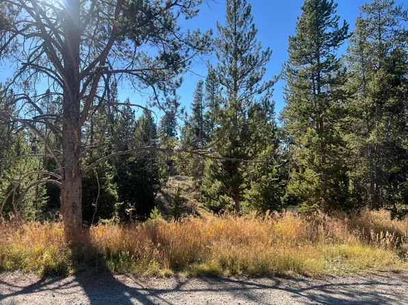 134 Tiger Tail Dr, Sawtooth City, ID 83340