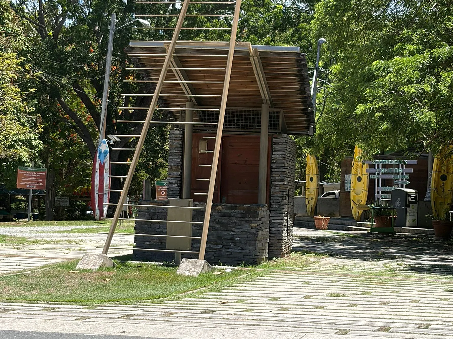 1 bed, 300 sqft, $950 — Photo 3