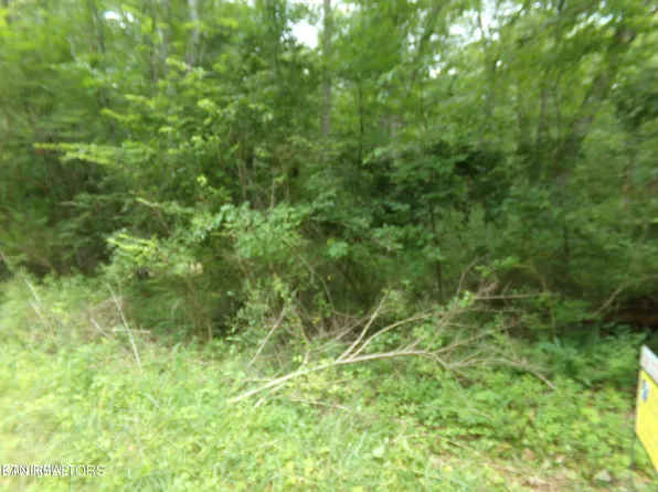 1302 Black Cloud Dr, Crossville, TN 38572