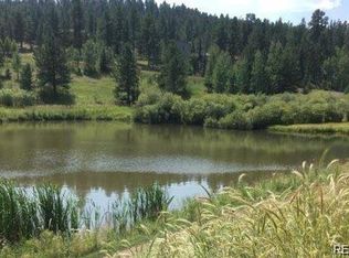 33195 Diana Rd, Pine, CO 80470