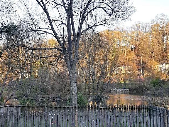 Backyard view