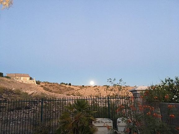 backyard view
