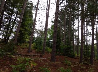 13013 Northstar Rd, Atlanta, MI 49709