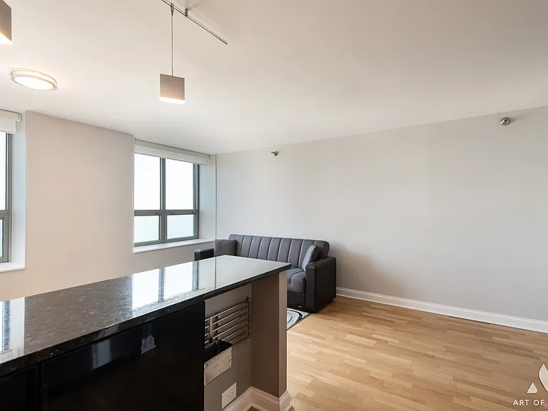 474 N Lake Shore Dr #5311 — Photo 12