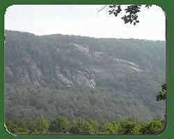 5th image of Mintwood Ct Lot 19