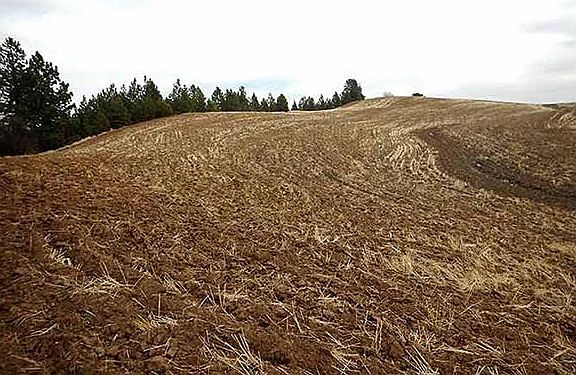Hilltop view to the East