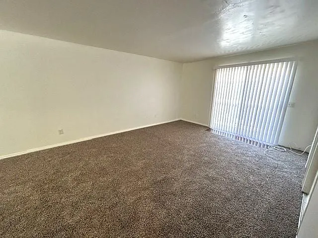 165 Tiger Ln — Photo 10