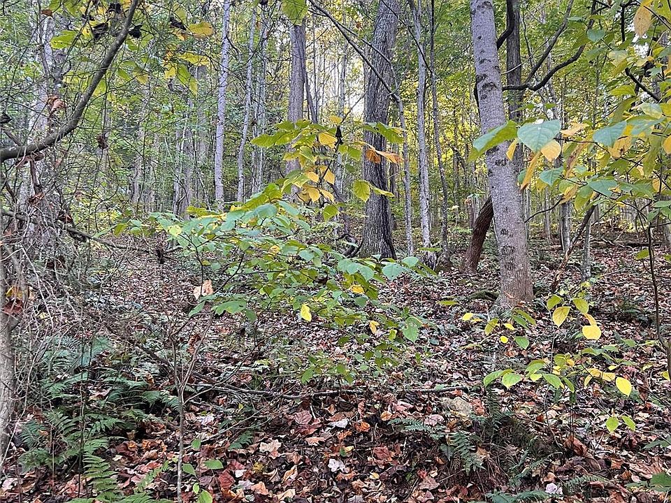 2nd image of 9999 Fox Town Rd