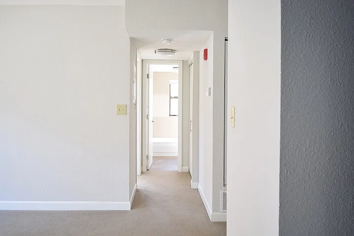 Kenwood — Photo 19