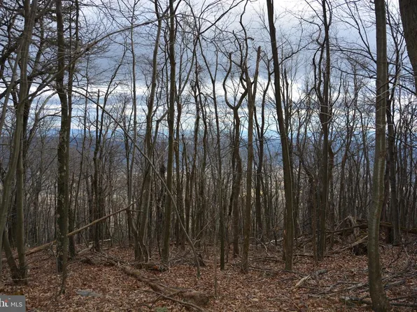 Rockwood Trl, Winchester, VA 22602