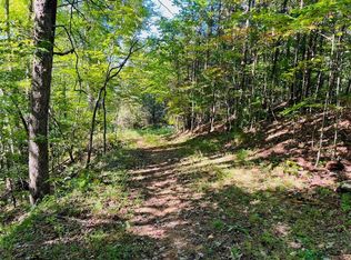 220 Maxwell Mountain Rd, Blue Ridge, GA 30513