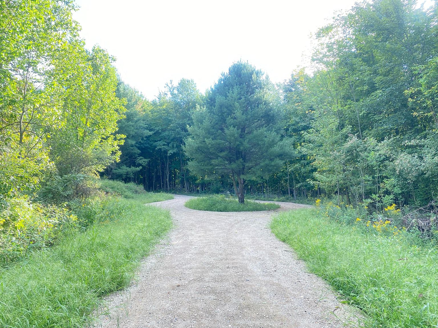 2830 114th Ave, Allegan, MI 49010 Zillow