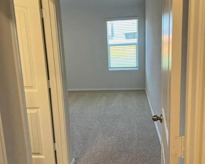 416 Signe — Photo 10