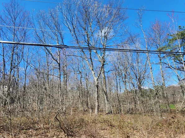 LOT D423 Panther Run Rd, Jim Thorpe, PA 18229