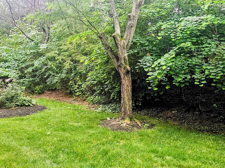 6834B Brindle Heath Way #234 — Photo 35