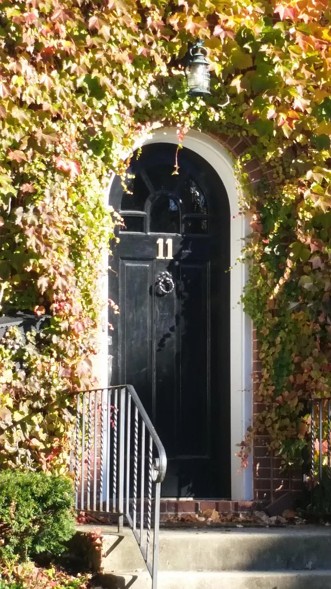 11 Hamilton Ave photo 1