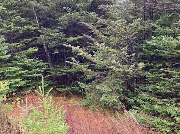 94-96 Highway East, Victoria, NL A0A4G0