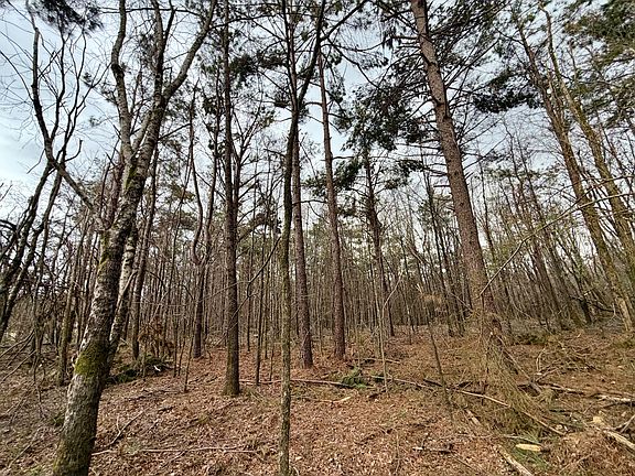 4th image of County Road 106