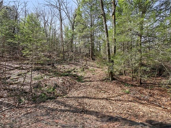 2nd image of 8 Hemlock Rd