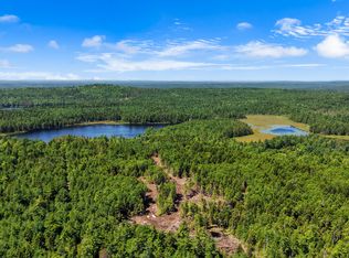 M9 L45-A NE NE Bluff Lane, Beddington, ME 04622