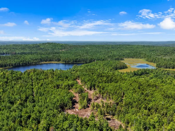M9 L45-A NE NE Bluff Lane, Beddington, ME 04622