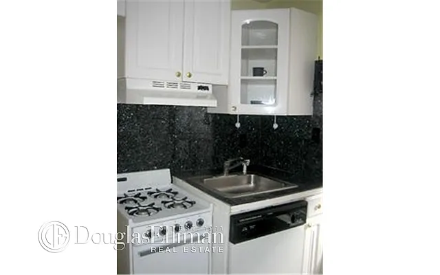 Rented by Douglas Elliman | media 16