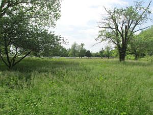 1st image of 6367 E State Highway Oo