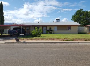509 E 20th St, Crane, TX 79731