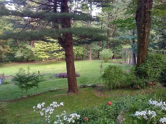 35 Saxon Woods Rd #1 — Photo 12