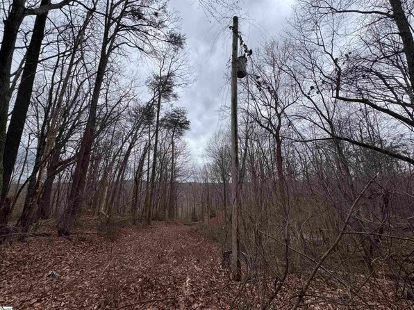 100 Chestnut Mountain Rd, Travelers Rest, SC 29690