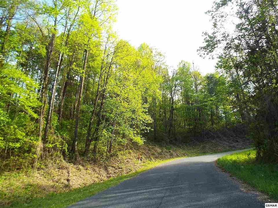 1st image of 4 Schisandra Ln #4