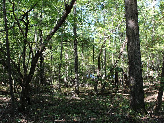 5th image of Tbd Western Trail LOT 131/132