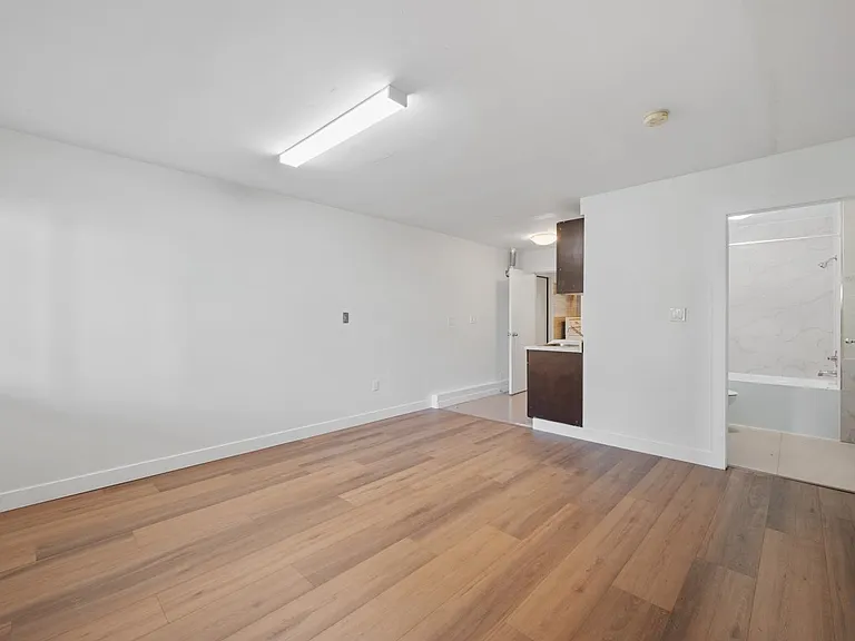 547 E 12th Ave #LOWER LEVEL — Photo 5